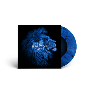 I Will Destroy The Void In You & Hold Steady 7" Vinyl / Black/Blue Marble